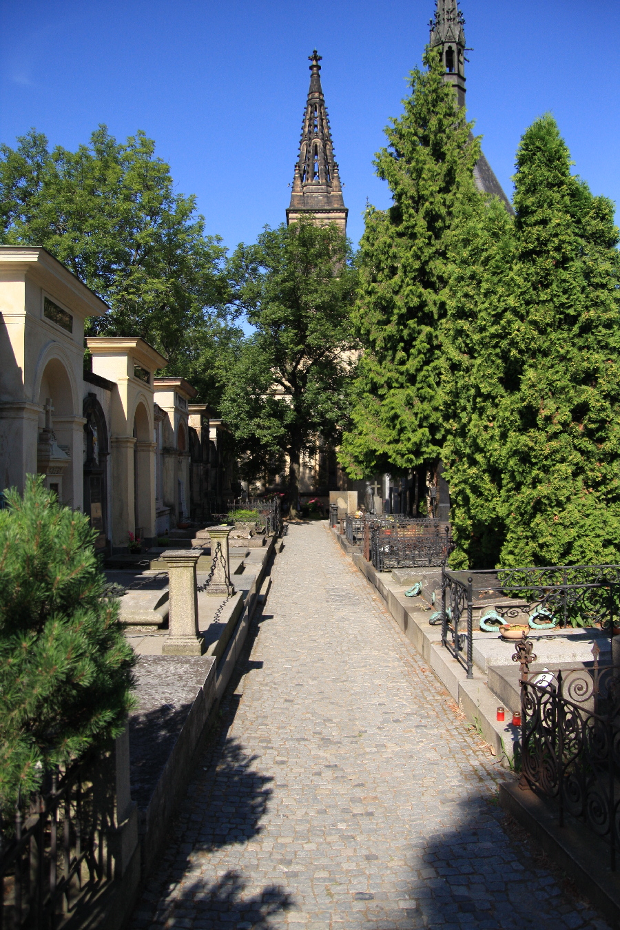 Vyšehradský hřbitov